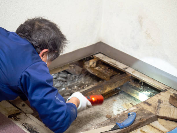 Best Water Damage Restoration  in Westbrook, ME