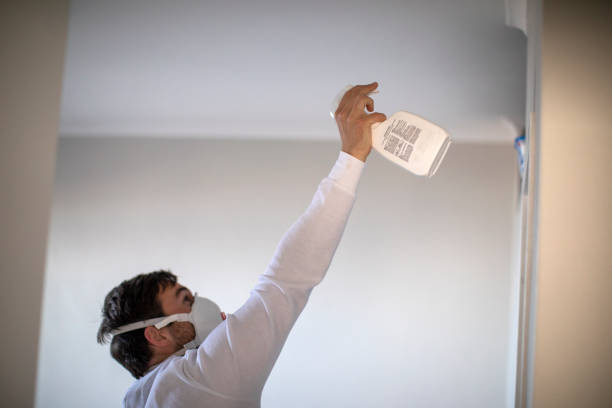 Best Black Mold Removal  in Westbrook, ME